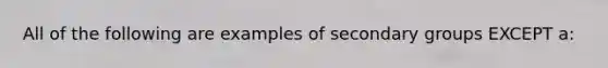 All of the following are examples of secondary groups EXCEPT a: