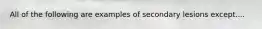 All of the following are examples of secondary lesions except....