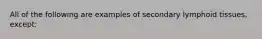 All of the following are examples of secondary lymphoid tissues, except: