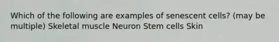 Which of the following are examples of senescent cells? (may be multiple) Skeletal muscle Neuron Stem cells Skin