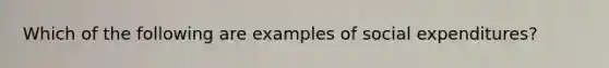 Which of the following are examples of social expenditures?