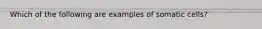 Which of the following are examples of somatic cells?