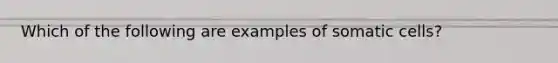 Which of the following are examples of somatic cells?