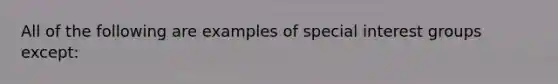 All of the following are examples of special interest groups except: