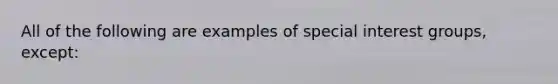 All of the following are examples of special interest groups, except: