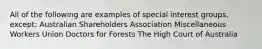 All of the following are examples of special interest groups, except: Australian Shareholders Association Miscellaneous Workers Union Doctors for Forests The High Court of Australia