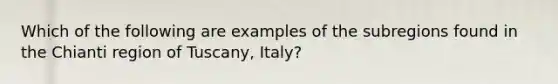 Which of the following are examples of the subregions found in the Chianti region of Tuscany, Italy?