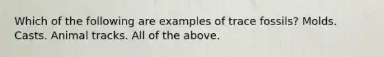Which of the following are examples of trace fossils? Molds. Casts. Animal tracks. All of the above.