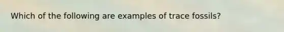 Which of the following are examples of trace fossils?