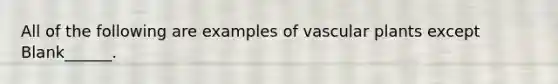 All of the following are examples of vascular plants except Blank______.