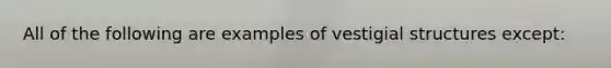 All of the following are examples of vestigial structures except: