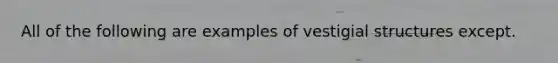 All of the following are examples of vestigial structures except.