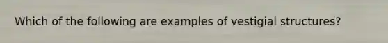 Which of the following are examples of vestigial structures?
