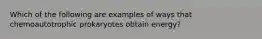 Which of the following are examples of ways that chemoautotrophic prokaryotes obtain energy?