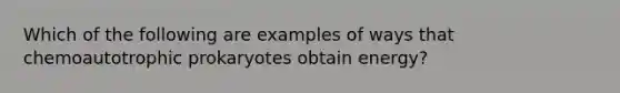 Which of the following are examples of ways that chemoautotrophic prokaryotes obtain energy?