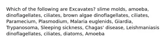 Which of the following are Excavates? slime molds, amoeba, dinoflagellates, ciliates, brown algae dinoflagellates, ciliates, Paramecium, Plasmodium, Malaria euglenids, Giardia, Trypanosoma, Sleeping sickness, Chagas' disease, Leishmaniasis dinoflagellates, ciliates, diatoms, Amoeba