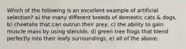 Which of the following is an excellent example of artificial selection? a) the many different breeds of domestic cats & dogs, b) cheetahs that can outrun their prey, c) the ability to gain muscle mass by using steroids, d) green tree frogs that blend perfectly into their leafy surroundings, e) all of the above.