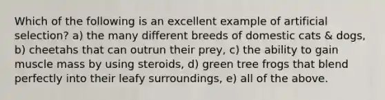 Which of the following is an excellent example of artificial selection? a) the many different breeds of domestic cats & dogs, b) cheetahs that can outrun their prey, c) the ability to gain muscle mass by using steroids, d) green tree frogs that blend perfectly into their leafy surroundings, e) all of the above.