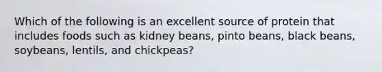 Which of the following is an excellent source of protein that includes foods such as kidney beans, pinto beans, black beans, soybeans, lentils, and chickpeas?