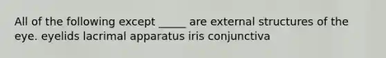 All of the following except _____ are external structures of the eye. eyelids lacrimal apparatus iris conjunctiva