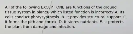 All of the following EXCEPT ONE are functions of the ground tissue system in plants. Which listed function is incorrect? A. Its cells conduct photysynthesis. B. It provides structural support. C. It forms the pith and cortex. D. It stores nutrients. E. It protects the plant from damage and infection.