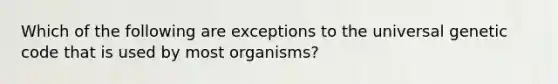 Which of the following are exceptions to the universal genetic code that is used by most organisms?