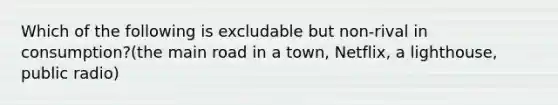 Which of the following is excludable but non-rival in consumption?(the main road in a town, Netflix, a lighthouse, public radio)