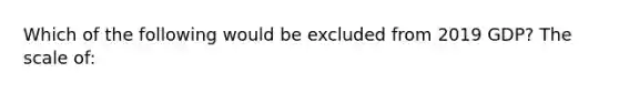 Which of the following would be excluded from 2019 GDP? The scale of: