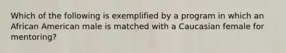 Which of the following is exemplified by a program in which an African American male is matched with a Caucasian female for mentoring?