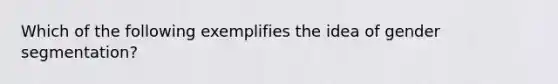 Which of the following exemplifies the idea of gender segmentation?