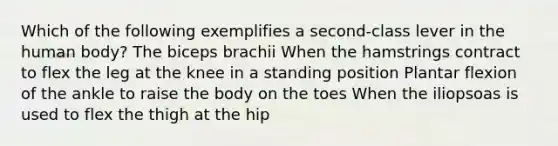 Which of the following exemplifies a second-class lever in the human body? The biceps brachii When the hamstrings contract to flex the leg at the knee in a standing position Plantar flexion of the ankle to raise the body on the toes When the iliopsoas is used to flex the thigh at the hip