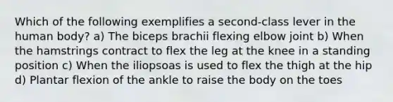 Which of the following exemplifies a second-class lever in the human body? a) The biceps brachii flexing elbow joint b) When the hamstrings contract to flex the leg at the knee in a standing position c) When the iliopsoas is used to flex the thigh at the hip d) Plantar flexion of the ankle to raise the body on the toes