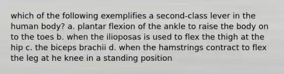 which of the following exemplifies a second-class lever in the human body? a. plantar flexion of the ankle to raise the body on to the toes b. when the ilioposas is used to flex the thigh at the hip c. the biceps brachii d. when the hamstrings contract to flex the leg at he knee in a standing position