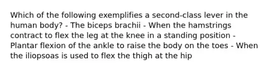 Which of the following exemplifies a second-class lever in the human body? - The biceps brachii - When the hamstrings contract to flex the leg at the knee in a standing position - Plantar flexion of the ankle to raise the body on the toes - When the iliopsoas is used to flex the thigh at the hip