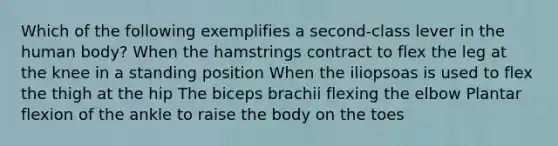 Which of the following exemplifies a second-class lever in the human body? When the hamstrings contract to flex the leg at the knee in a standing position When the iliopsoas is used to flex the thigh at the hip The biceps brachii flexing the elbow Plantar flexion of the ankle to raise the body on the toes