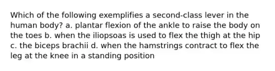 Which of the following exemplifies a second-class lever in the human body? a. plantar flexion of the ankle to raise the body on the toes b. when the iliopsoas is used to flex the thigh at the hip c. the biceps brachii d. when the hamstrings contract to flex the leg at the knee in a standing position