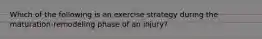 Which of the following is an exercise strategy during the maturation-remodeling phase of an injury?