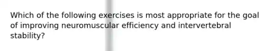 Which of the following exercises is most appropriate for the goal of improving neuromuscular efficiency and intervertebral stability?