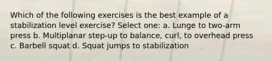 Which of the following exercises is the best example of a stabilization level exercise? Select one: a. Lunge to two-arm press b. Multiplanar step-up to balance, curl, to overhead press c. Barbell squat d. Squat jumps to stabilization