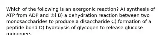 Which of the following is an exergonic reaction? A) synthesis of ATP from ADP and ℗i B) a dehydration reaction between two monosaccharides to produce a disaccharide C) formation of a peptide bond D) hydrolysis of glycogen to release glucose monomers