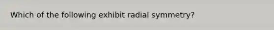 Which of the following exhibit radial symmetry?