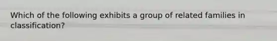 Which of the following exhibits a group of related families in classification?