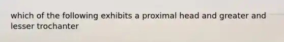 which of the following exhibits a proximal head and greater and lesser trochanter