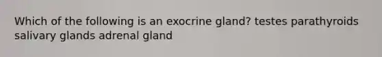 Which of the following is an exocrine gland? testes parathyroids salivary glands adrenal gland