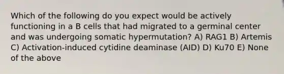 Which of the following do you expect would be actively functioning in a B cells that had migrated to a germinal center and was undergoing somatic hypermutation? A) RAG1 B) Artemis C) Activation-induced cytidine deaminase (AID) D) Ku70 E) None of the above