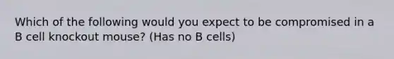 Which of the following would you expect to be compromised in a B cell knockout mouse? (Has no B cells)