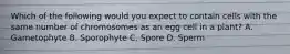 Which of the following would you expect to contain cells with the same number of chromosomes as an egg cell in a plant? A. Gametophyte B. Sporophyte C. Spore D. Sperm