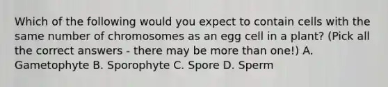 Which of the following would you expect to contain cells with the same number of chromosomes as an egg cell in a plant? (Pick all the correct answers - there may be more than one!) A. Gametophyte B. Sporophyte C. Spore D. Sperm