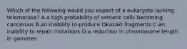 Which of the following would you expect of a eukaryote lacking telomerase? A.a high probability of somatic cells becoming cancerous B.an inability to produce Okazaki fragments C.an inability to repair mutations D.a reduction in chromosome length in gametes