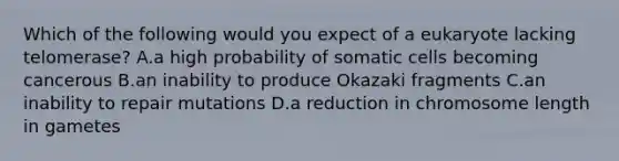 Which of the following would you expect of a eukaryote lacking telomerase? A.a high probability of somatic cells becoming cancerous B.an inability to produce Okazaki fragments C.an inability to repair mutations D.a reduction in chromosome length in gametes